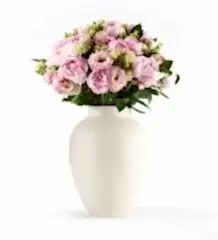 Primrose Pink - Extraordinary in a Large Mayfair Blanc Vase