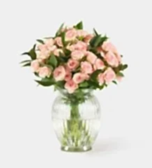 Pink - Classic in a Royal Windsor Vase