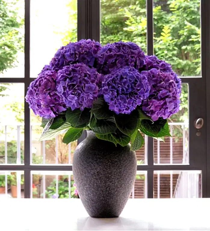Large Mayfair Onyx Vase with 10 Stems of Cloud White Hydrangea