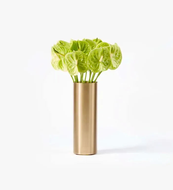 10 Lily Green Anthurium Stems in a Tall Wickstead Vase
