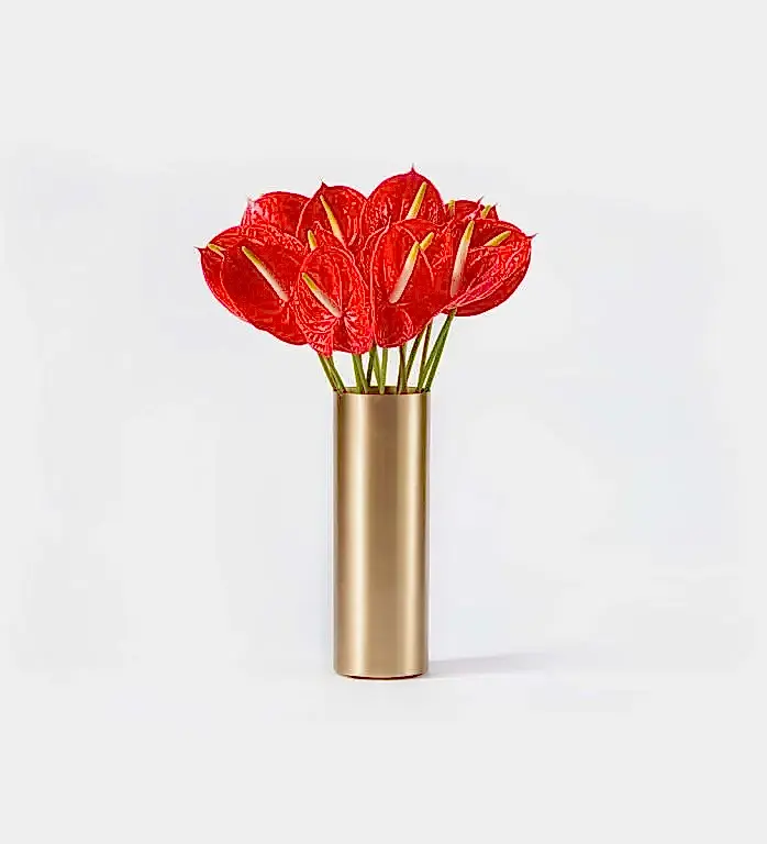 10 Anthurium Stems in a Tall Wickstead Vase