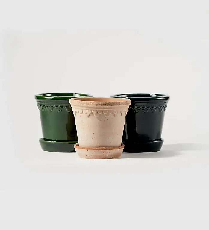 Terracotta Rosa Pot