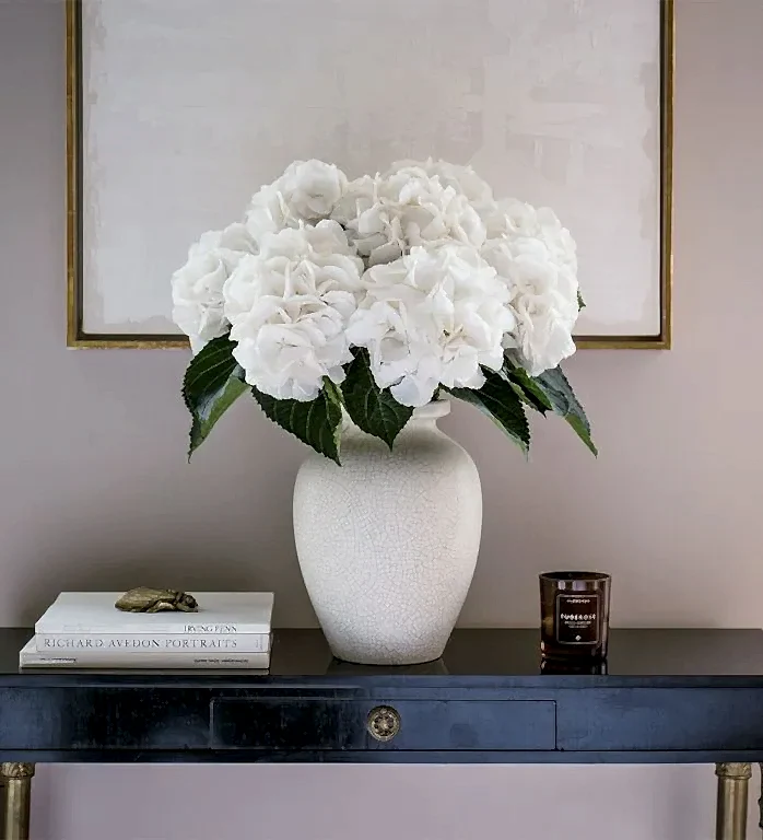 Cloud White Hydrangea 