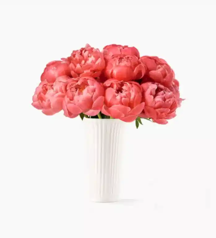 10 Stems of Flaming Peony in a 12cm Glazed White Fluted Vase