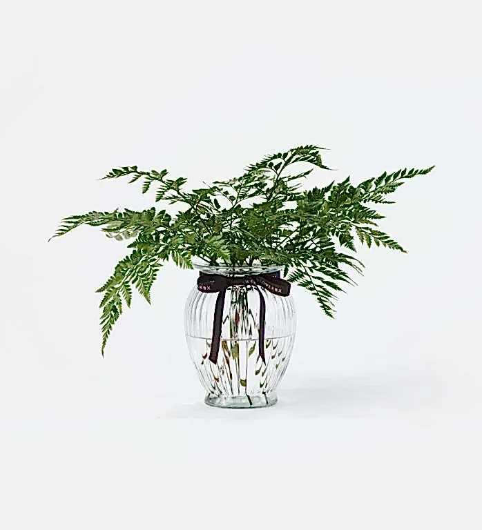 Fern Foliage in a Royal Windsor Vase
