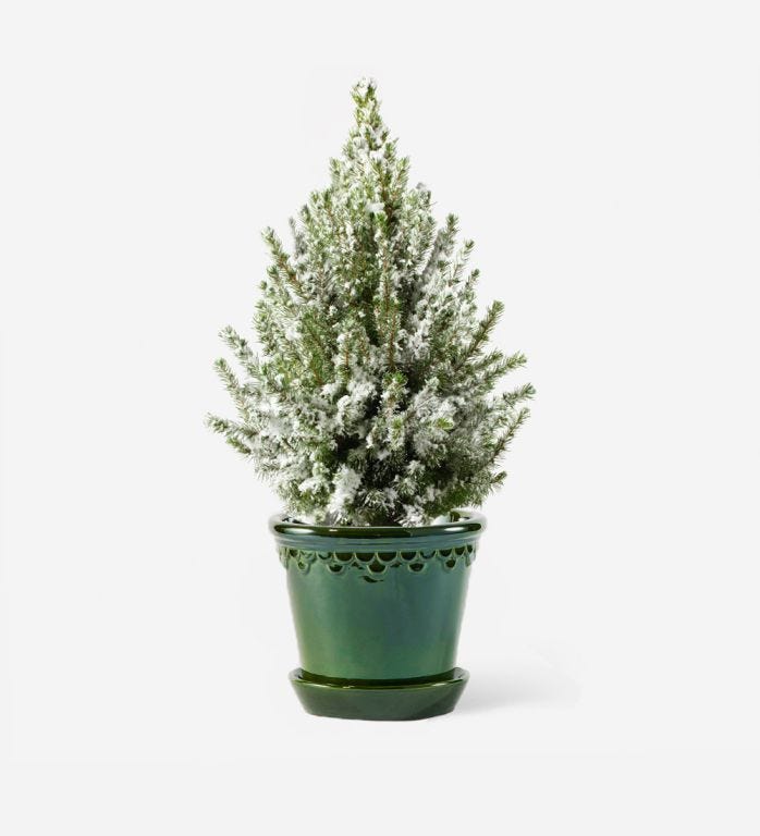 Miniature Frosted Tree with Glazed Emerald Pot - 16cm