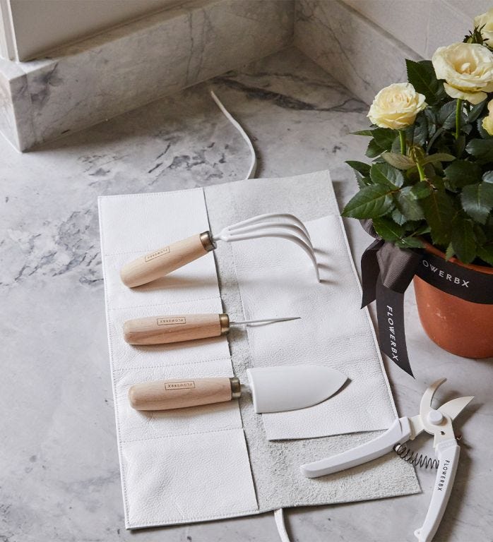 FLOWERBX Gardening Set