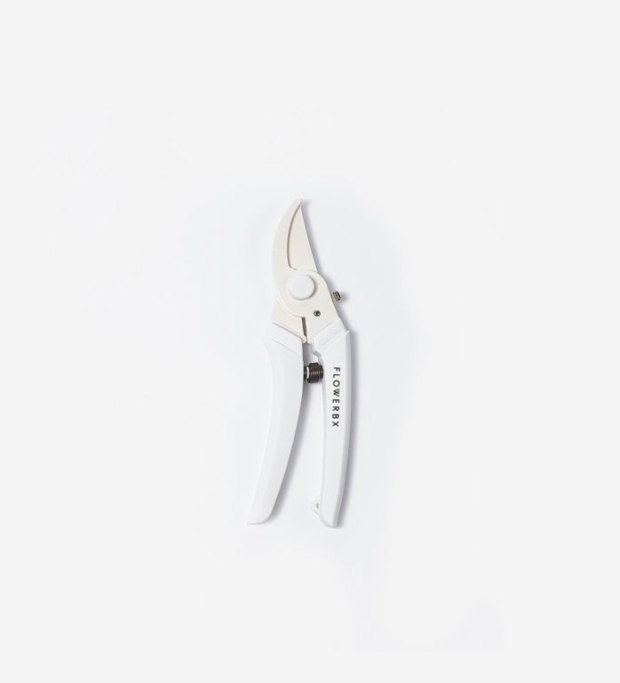 FLOWERBX Gardening Set