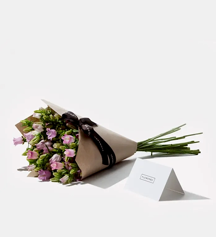 20 Stems of Pink Cheeks Campanula in our signature gift wrapping