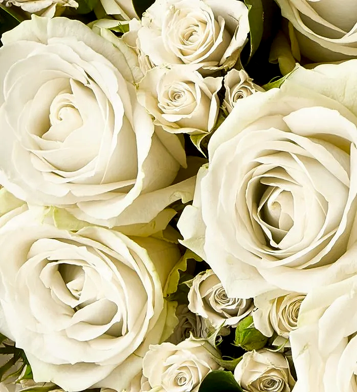 The Rose Super Bouquet - Ivory