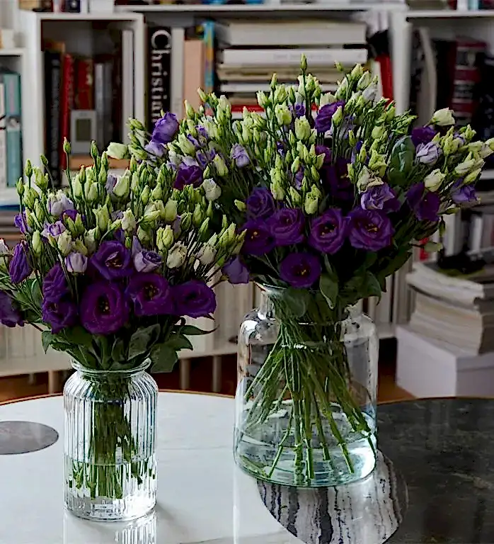Royal Purple Lisianthus