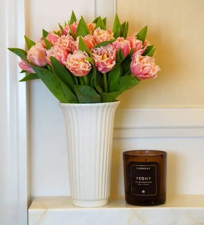 Coral Crush Fringed Tulip