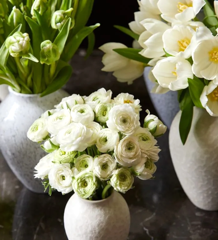 50 stems Porcelain Petit Ranunculus in a Petit Mayfair Blanc Vase