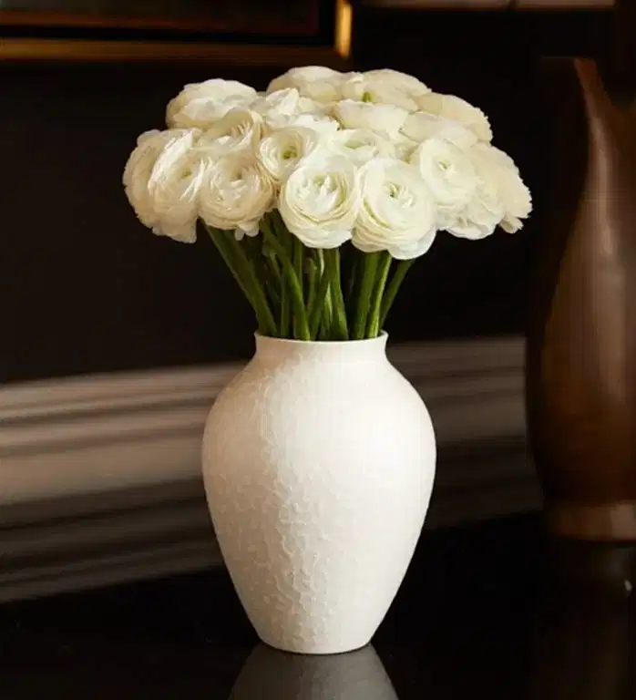 25 Chiffon Italian Ranunculus in a Small Mayfair Blanc Vase