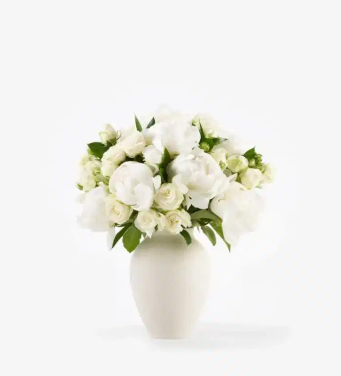 Cotton Cloud Ivory - Classic in a Small Mayfair Blanc Vase