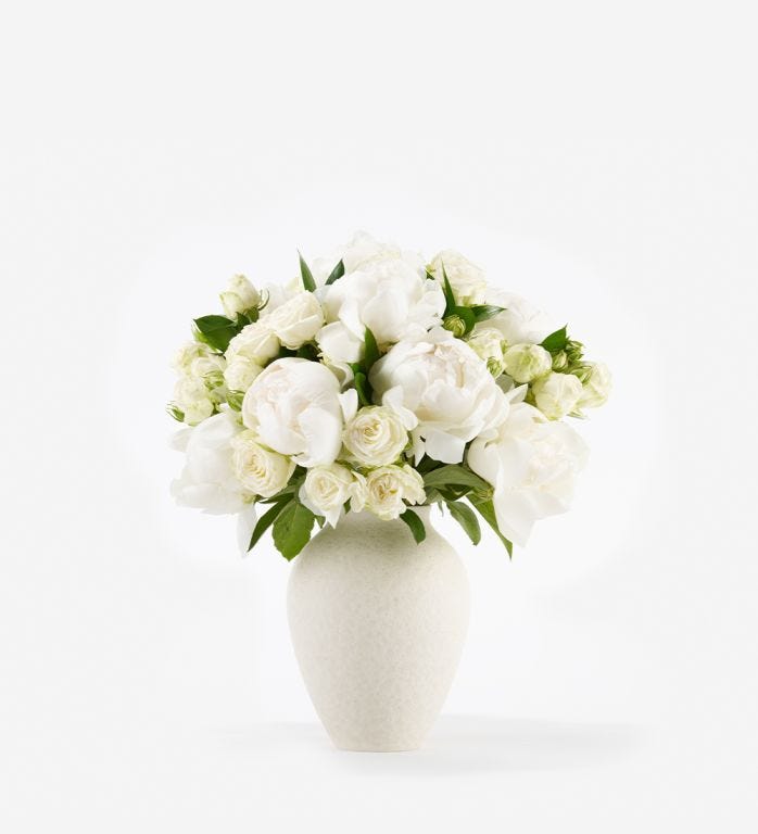 Cotton Cloud Ivory - Classic in a Small Mayfair Blanc Vase