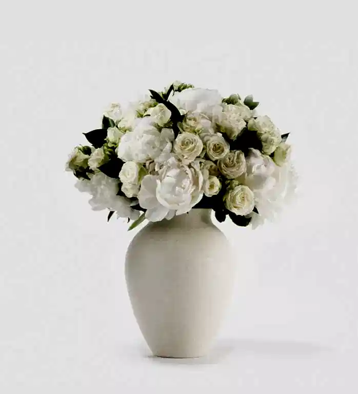 Cotton Cloud Ivory - Large in a Medium Mayfair Blanc Vase