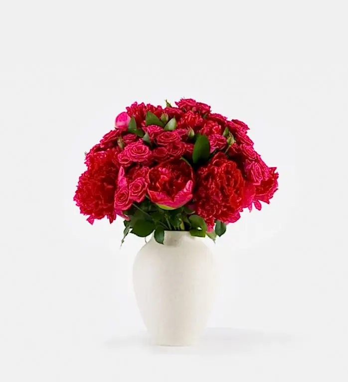 Framboise Pink - Classic in a Small Mayfair Blanc Vase