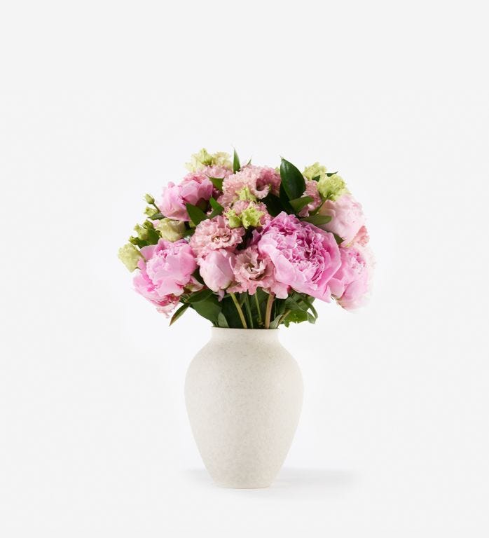 Primrose Pink - Classic in a Small Mayfair Blanc Vase