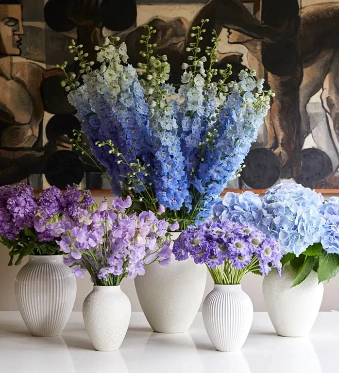 The Prestige Subscription - Spring Edit