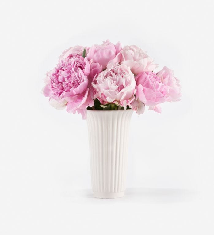 10 Stems of Primrose Peony in a 12cm Glazed White Fluted Vase