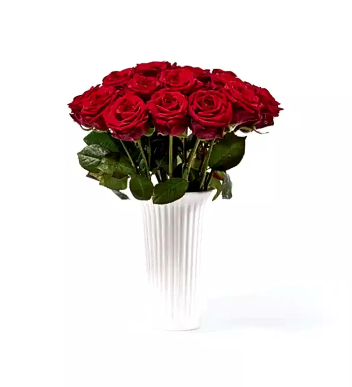 20 Stems of Red Naomi Rose in a 12cm Glazed White Fluted Vase