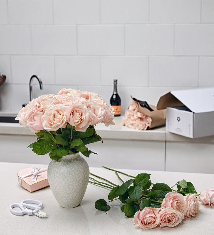 Roses and Vase Set