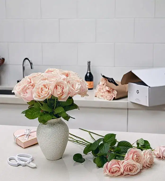 20 Stems on a Small Mayfair Blanc Vase