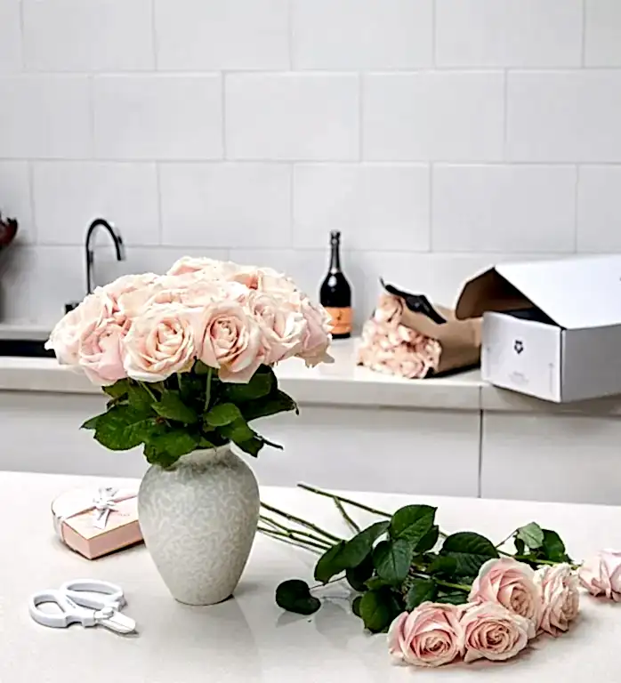 Roses and Luxury Vase Set - Pink Sweet Avalanche Roses & Small Mayfair Vase in Blanc with optional Charbonnel et Walker Chocolates