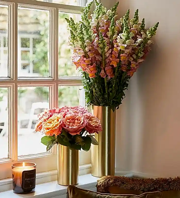 Honey Snapdragon 