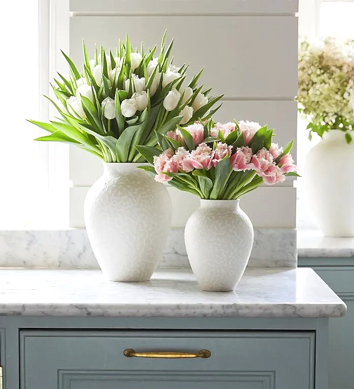 Coral Crush Fringed Tulip
