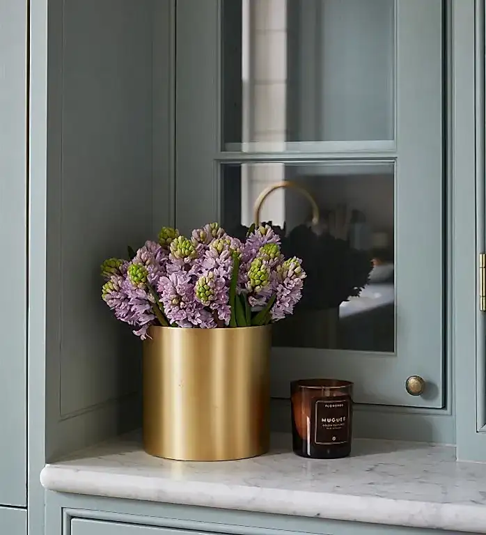 Amethyst Hyacinth 