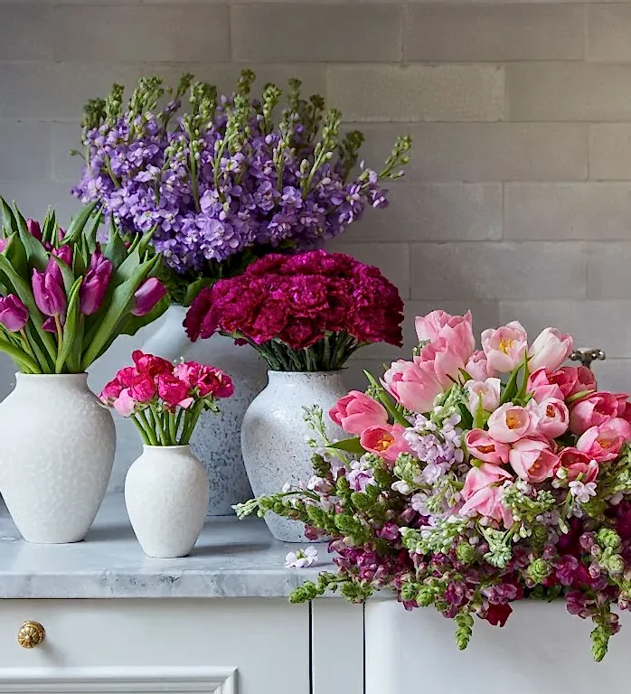The Signature Subscription - Spring Edit