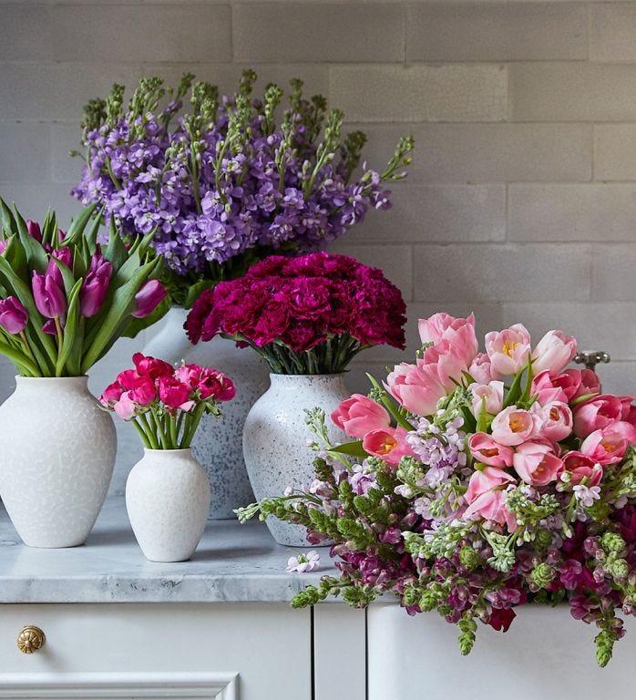 The Signature Subscription - Spring Edit