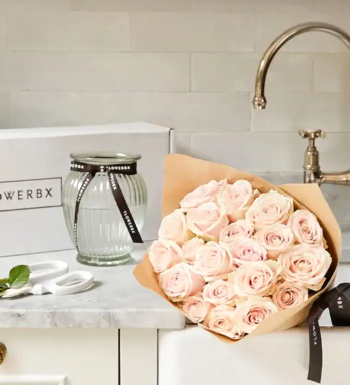 Enjoy 20 stems of bestselling Pink Sweet Avalanche Roses as your first delivery