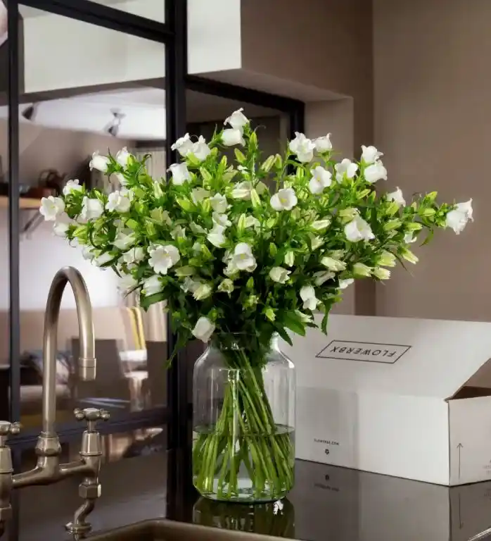 White Cloche Campanula in a Medium Apothecary Vase