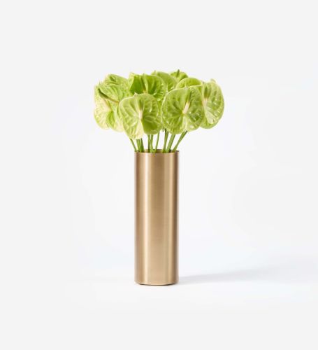 10 Anthurium Stems in a Tall Wickstead Vase