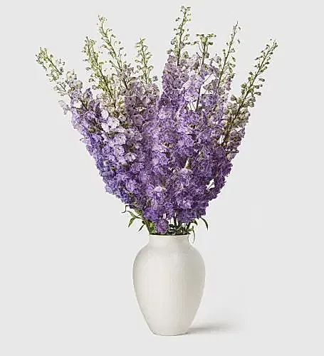 10 Stems in a Medium Mayfair Blanc Vase