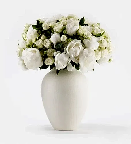 Cotton Cloud Ivory - Extraordinary in a Large Mayfair Blanc Vase
