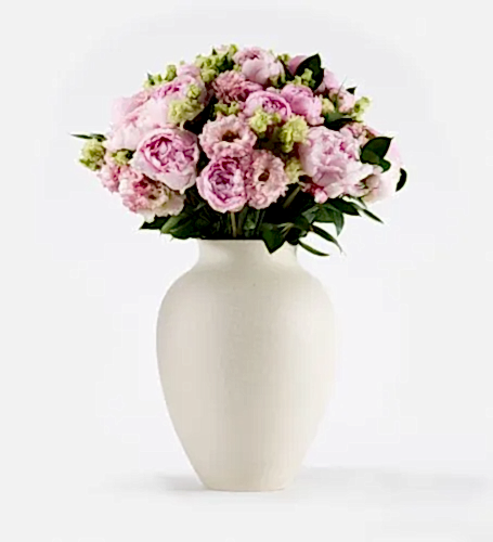 Primrose Pink - Extraordinary in a Large Mayfair Blanc Vase