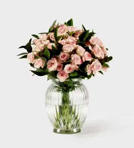 Pink - Classic in a Royal Windsor Vase