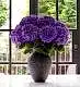 Large Mayfair Onyx Vase with 10 Stems of Cloud White Hydrangea