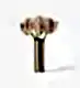 10 Anthurium Stems in a Tall Wickstead Vase