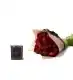 10 Stems of Boudoir Peony with our Peony Scented Candle