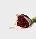 Peony and Chocolate Gift Set - Boudoir Peonies and Charbonnel et Walker Sea Salt Caramel Chocolate Truffle