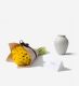 Daffodil Vase Set - 50 Buttery Blonde Daffodils with a Small Mayfair Blanc