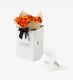 Indian Summer Italian Ranunculus 