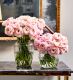 Ballet Slippers Italian Ranunculus