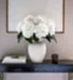 Cloud White Hydrangea 