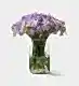 Mauve Freesia in a Small Apothecary Vase